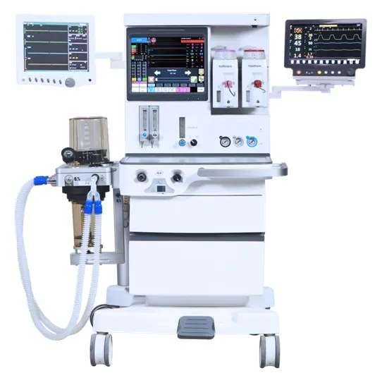 Multi-Function Workstation Anesthesia Machine